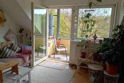 76 qm Wohnung mit älterer Nachbarschaft inkl. Stellplatz - Beckingen