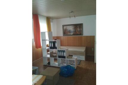 Einzimmerappartement in Neustadt Hambacher Höhe voll möbliert - Neustadt an der Weinstraße Diedesfeld