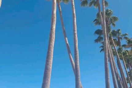 Casa Valentina zu vermieten - 55,00&nbsp;EUR Kaltmiete, in Augsburg (PLZ: 86159) Antonsviertel