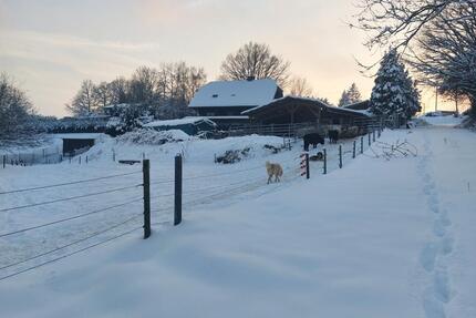 BAUERNHOF - PFERDEHOF - 4 HEKTAR WEIDE - LEBEN MIT TIEREN - Windeck