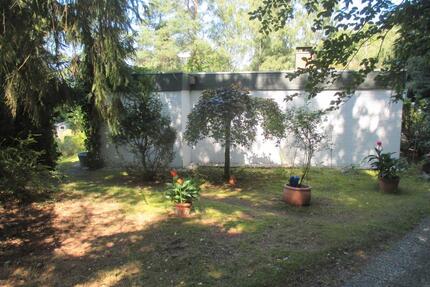 heller Bungalow - ruhige Waldrandlage - sonniges Naturgrundstück - Seevetal Holtorfsloh