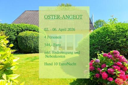 ❤️ANGEBOT❤️Gemütliches Ferienhaus nahe am Wasser Sonnenterrasse 6 Pers. Hund willkommen - Süderbrarup