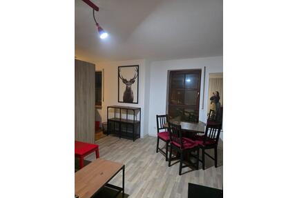 Würzburg Zellerau: 2-Zimmer möbliert, sofort frei Nähe Mainbrücke