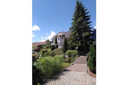 Moderne, helle und gepflegte Wohnung - Suhl am Rennsteig