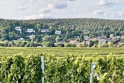 Haus zum Kaufen in Weisenheim am Berg 799.000,00 € 269.64 m²