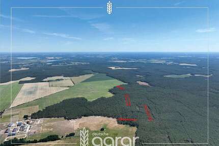Grundstück zu verkaufen in Beelitz Wittbritzen 9.900,00 € 15600 m² - Beelitz / Wittbritzen