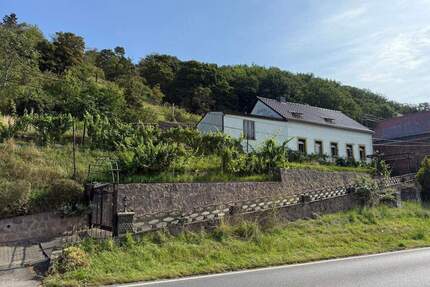 Großzügiges Hanggrundstück mit Altbestand und herrlichem Elbe Blick - Meißen