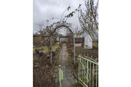 Kleingarten in Riesa (Pausitzer Delle) abzugeben