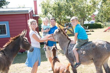 Idyllische Ferienhäuser nahe der Ostsee – Familienfreundlich - Lubmin