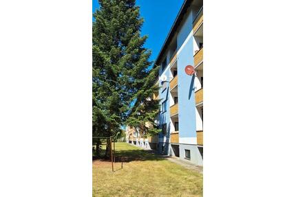 Gemütliche 2,5-Zimmer-Wohnung mit neuer Küche & West-Balko - Gifhorn