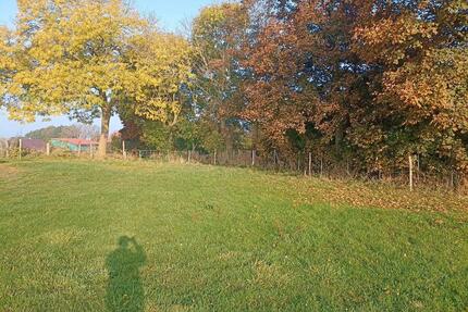 Wiese in Gremersdorf zu verpachten - Oldenburg in Holstein