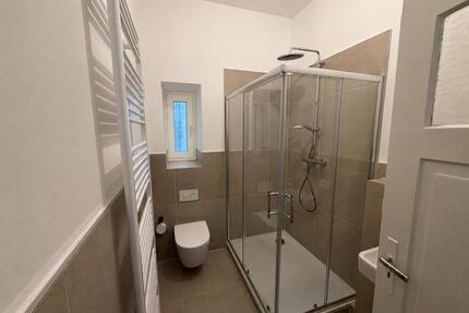 Erstbezug nach Kernsanierung: 3-Zimmer-Altbau im Herzen von FT - Frankenthal (Pfalz)