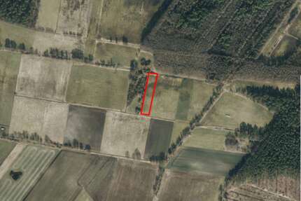 Grundstück in Burgdorf 11.796,00 € 3932 m²