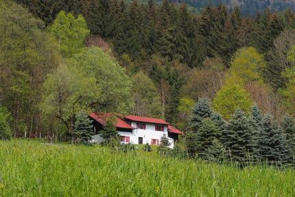 Ferienhaus Bayerischer Wald Traumlage Alleinlage Mai+JuniJuli - Bernried