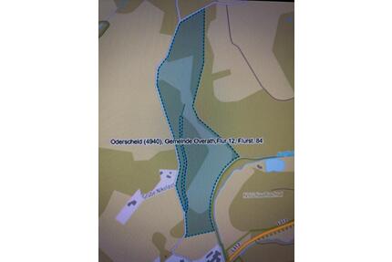 Großes Grundstück mit Teich zu verpachten Oderscheid Fischermühle - Overath