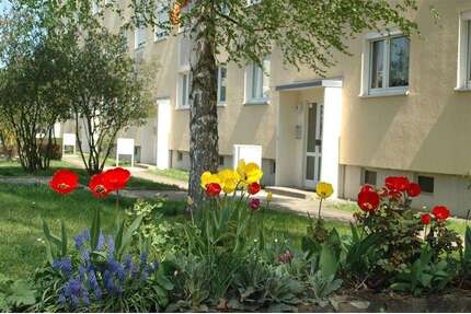 Wohnung zum Mieten in Pirna 354,14 € 57.12 m²