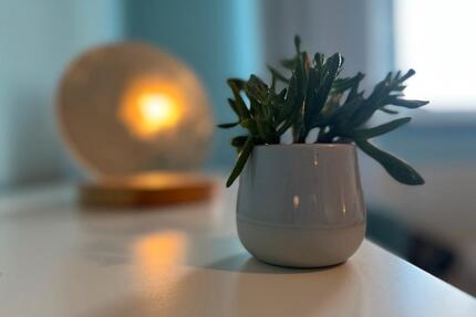 Anfragestopp Helle 2 Zimmerwohnung - Hansaviertel +++ viele Möbel - Rostock