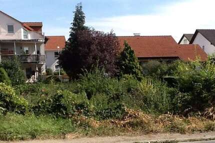 Grundstück zu verkaufen in Gernsheim 598.000,00 € 591 m²