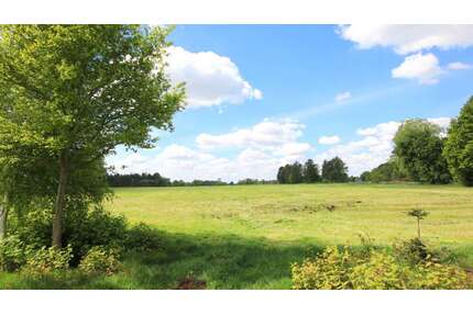 Grundstück in Edewecht 110.000,00 € 49137 m²