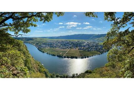 Moselblümchen Amelie - Ferienwohnung im Herzen von Piesport
