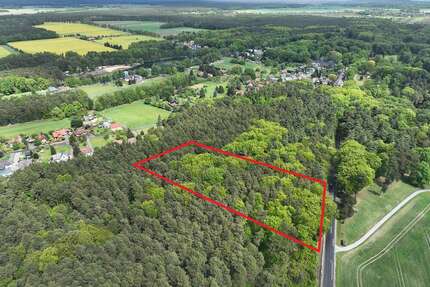 Grundstück in Gablenz 14.900,00 € 12000 m²