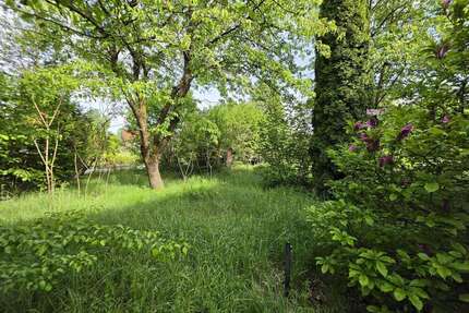Grundstück zu verkaufen in Ilmmünster 179.000,00 € 253 m²