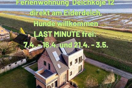 Ferienwohnung direkt am Eiderdeich Nordsee Last Minute mit Hund - Tönning