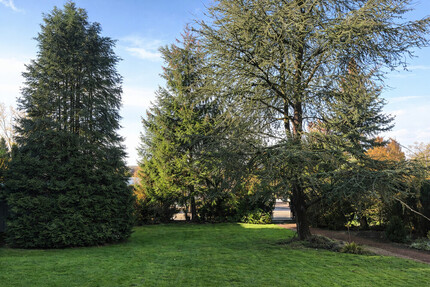 Abrissgrundstück in exklusiver und sehr schöner Lage von Münster- St. Mauritz - Münster / Ost