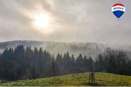Haus zum Kaufen in Bonndorf 890.000,00 € 225 m²
