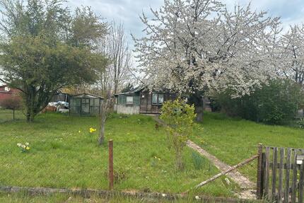 Pachtgarten, Kleingarten - 250,00&nbsp;EUR Kaltmiete, ca.&nbsp; 0,00&nbsp;m&sup2; in Mühlhausen (Thüringen) (PLZ: 99974)