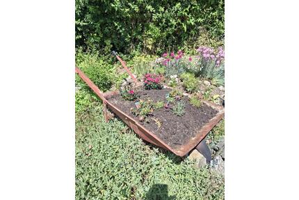 Kleingarten im KGV - 2.500,00&nbsp;EUR Kaltmiete, ca.&nbsp; 0,00&nbsp;m&sup2; in Freital (PLZ: 01705)