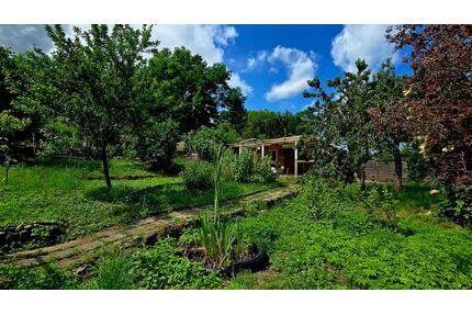 Pachtgarten mit Fernblick in EF-Möbisburg - Erfurt Hochheim