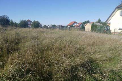 Grundstück zu verkaufen in Könnern OT Kirchedlau 26.500,00 € 539 m²