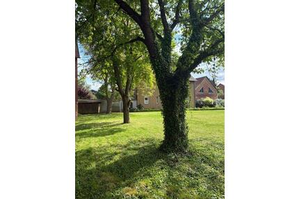 Garten | Rasenfläche | Freifläche (mit Laube) - Giesen