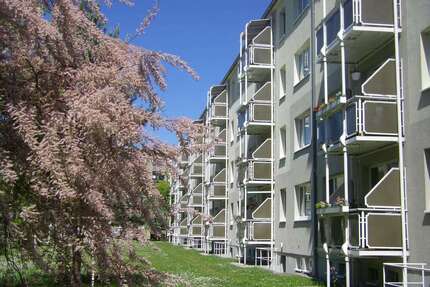 Wohnung zum Mieten in Wurzen 385,00 € 60.08 m²