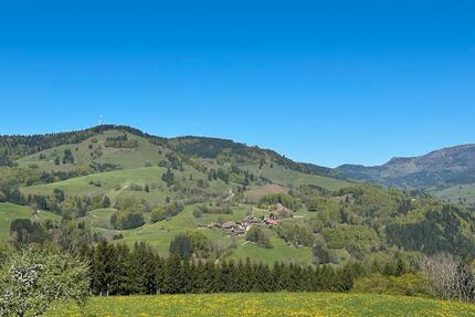1-2 Zimmer Wohnung Ferienwohnung - Schönau im Schwarzwald