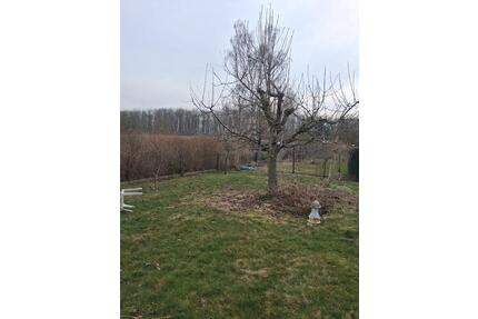 Garten Abstandszahlung - 3.500,00&nbsp;EUR Kaltmiete, ca.&nbsp; 0,00&nbsp;m&sup2; in Markkleeberg (PLZ: 04416)