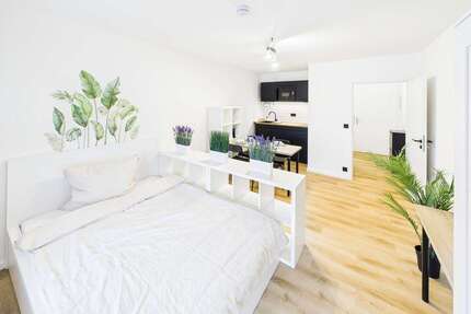 Wohnung zum Mieten in Konstanz 900,00 € 29 m²