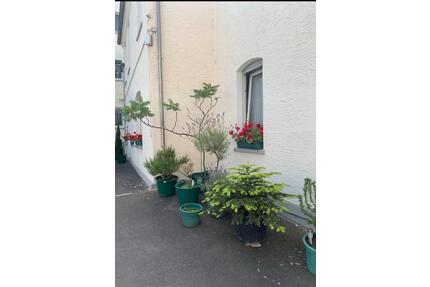 Stadthaus zu vermieten - 2 Wohnungen - Wiesbaden Biebrich