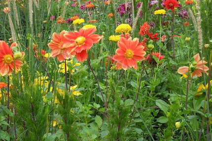 Grundstück zu verkaufen in Hamburg Niendorf 589.000,00 € 973 m² - Hamburg / Niendorf