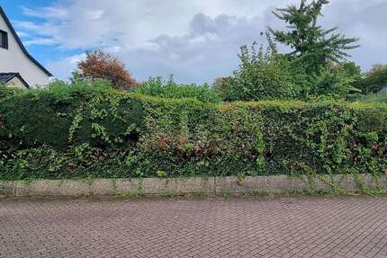 Grundstück zu verkaufen in Essen 285.000,00 € 443 m²