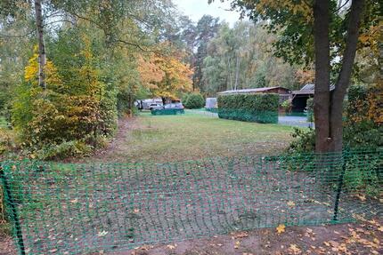 Pachtgrundstück mit Erstwohnsitz in Colbitz - Torgau