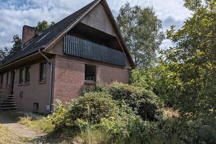Großzügiges Familienhaus mit Traumgrundstück - Winsen (Aller)