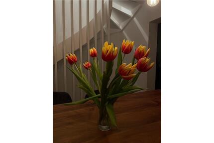 Mittelreihenhaus in zentraler Lage von Buchholz zu vermieten - Buchholz in der Nordheide