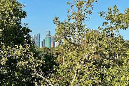Wohnung zum Mieten in Frankfurt am Main 980,00 € 63 m²