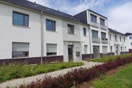 Wohnung zum Mieten in Potsdam 680,00 € 56 m²