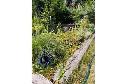 Verwirklichen Sie sich im eigenen Kleingarten b. Magdeburg - Wolmirstedt