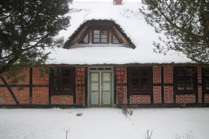 Ferienhaus nahe Stralsund für 2 Pers.+ Hunde, Jan. - Dez. - Wittenhagen
