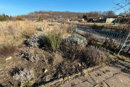 Gartengrundstück am Geiseltalsee mit Laube - Braunsbedra