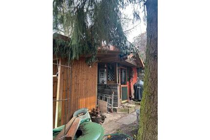 Garten zu verpachten in Bad Nauheim